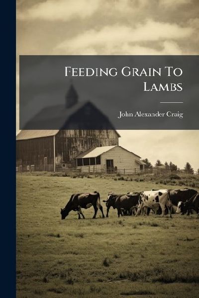 Feeding Grain To Lambs