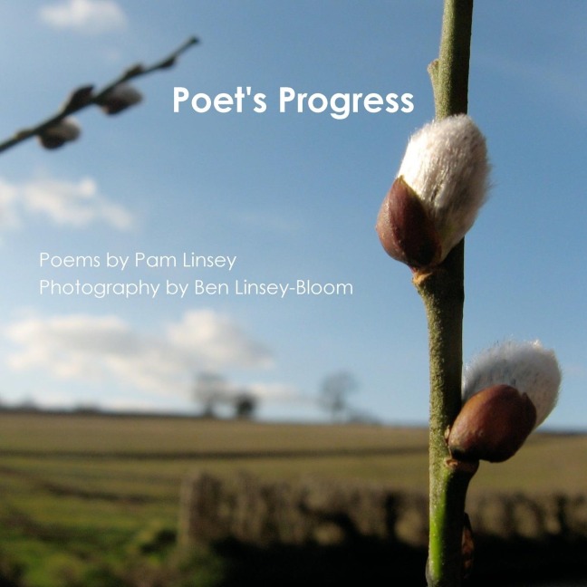 Poets Progress