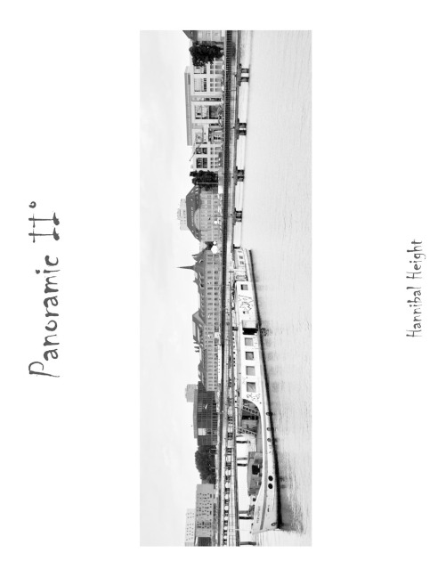 Panoramic II°