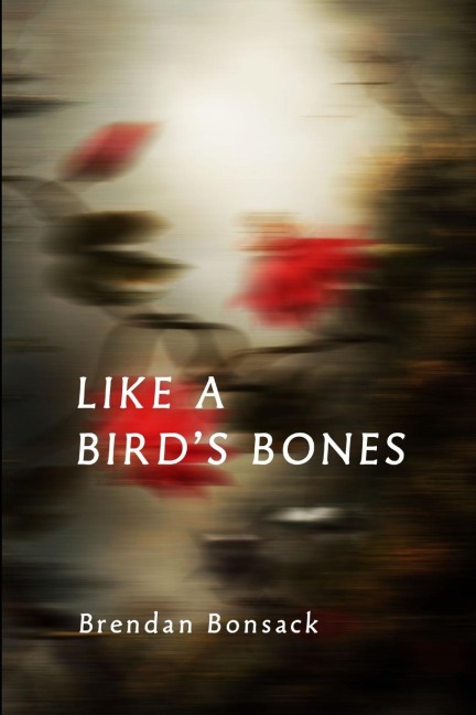 Like a Birds Bones