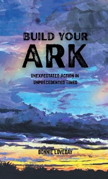 Build Your Ark: Unusual Action for Unpredented Times