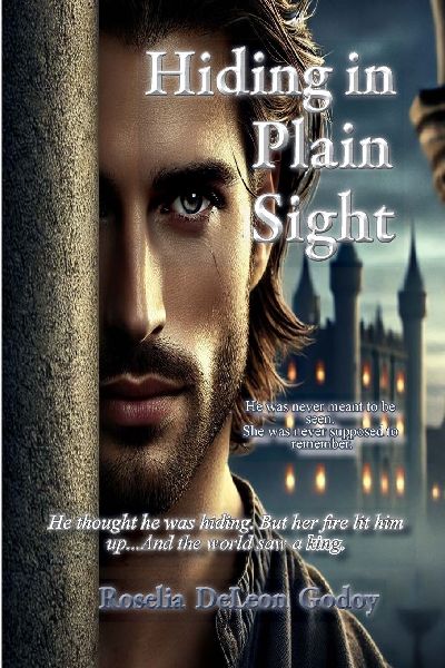 Hiding in Plain Sight: A Soulmate Story Written in the Stars