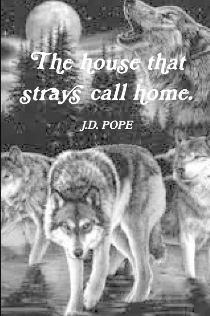 The house that strays call home.