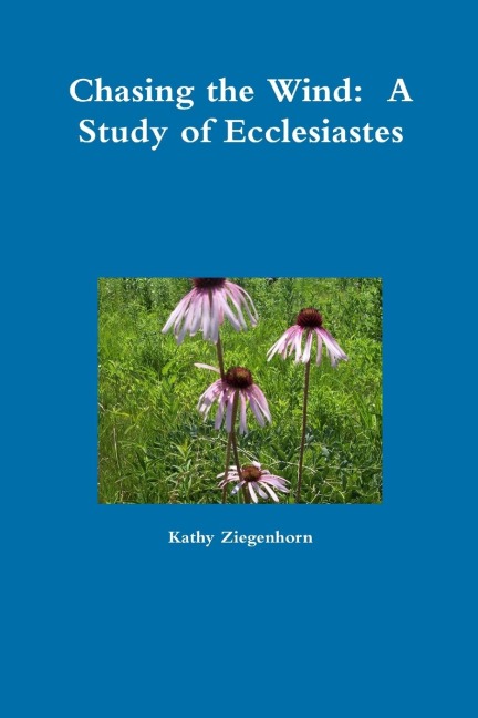 Chasing the Wind: A Study of Ecclesiastes