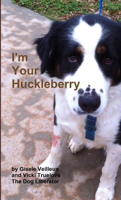 Im Your Huckleberry