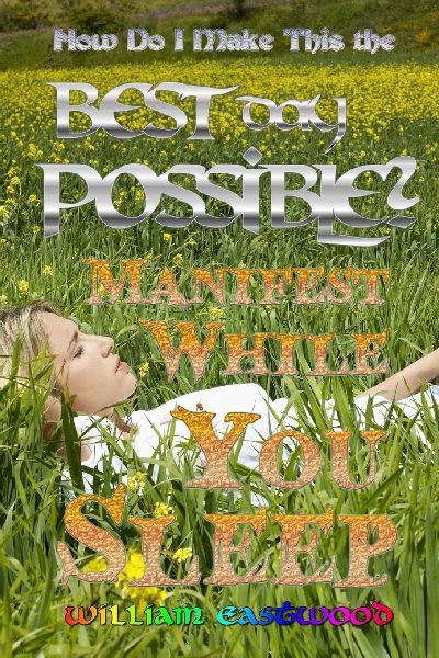 How Do I Make This the Best Day Possible?: Manifest While You Sleep