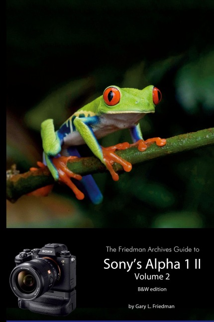 The Friedman Archives Guide to Sonys A1 II - Volume 2 (B&W Edition)