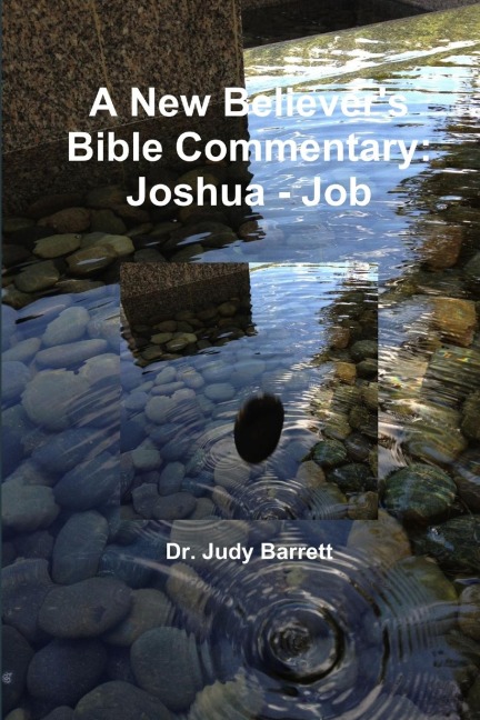 A New Believers Bible Commentary: Joshua - Job