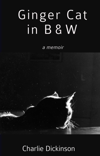 Ginger Cat in B & W
