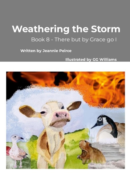 Weathering the Storm: Book 8 - There but by Grace go I