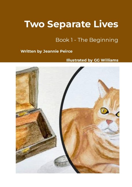 Two Separate Lives: Book 1 - The Beginning