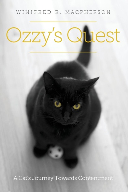 Ozzys Quest: A Cats Journey Towards Contentment
