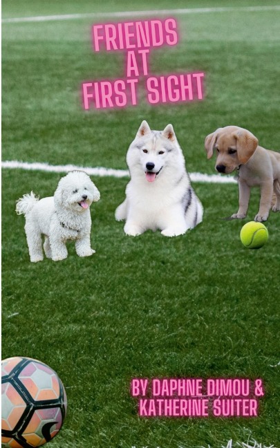 Friends at First Sight