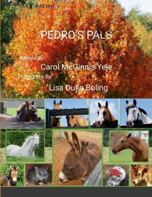 Pedros Pals