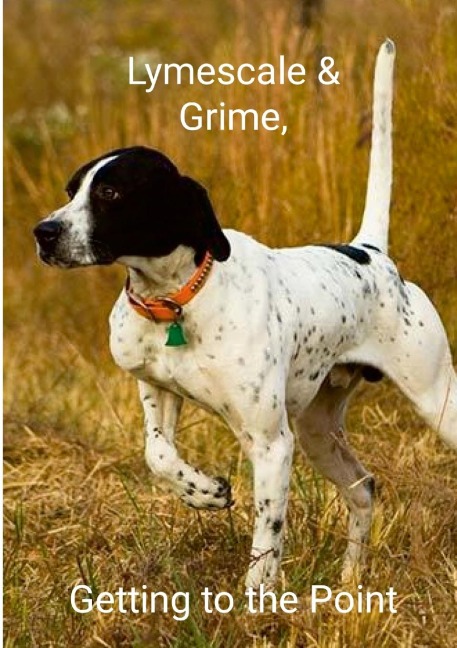 Lymescale & Grime, Getting to the Point: Lymescale & Grime Book 6