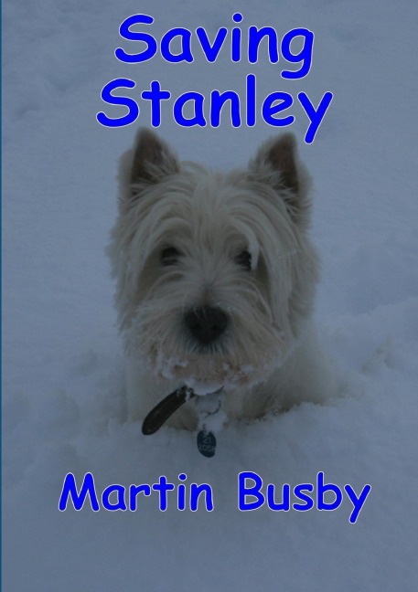 Saving Stanley: an adventure