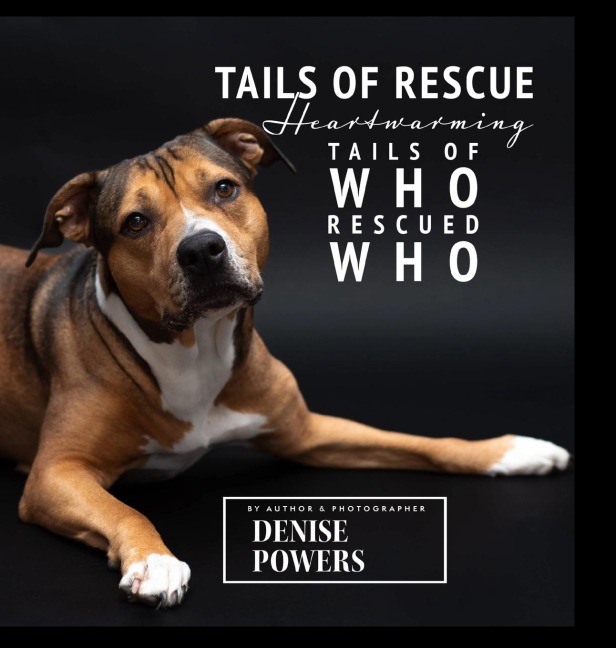 Tails of Rescue: Heartwarming Tails of Who Rescued Who