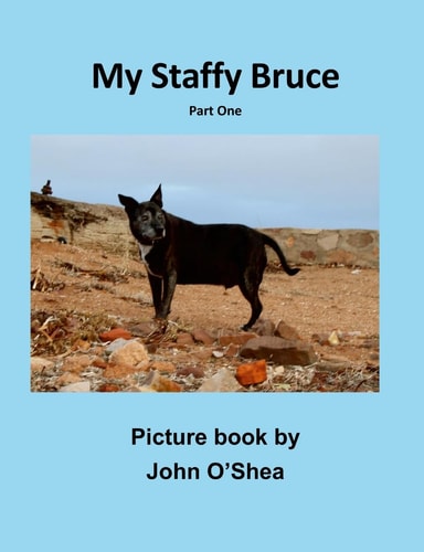 My Staffy Bruce Part One