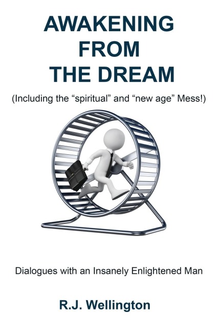 AWAKENING FROM THE DREAM (Including the Spiritual and New Age Mess): Dialogues with an insanely enlightened man