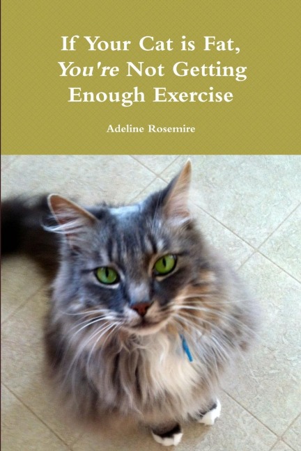 If Your Cat Is Fat, Youre Not Getting Enough Exercise