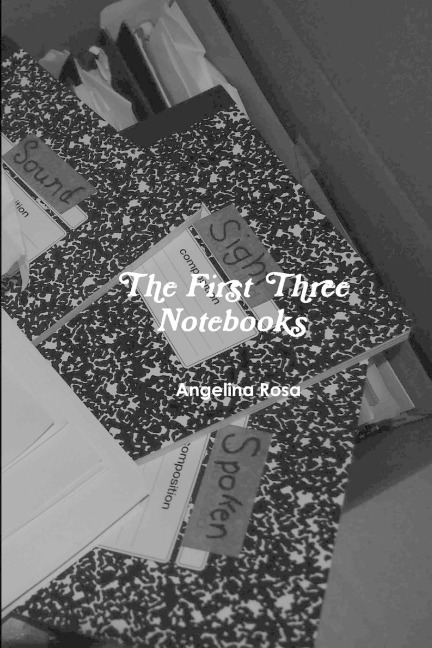 The First Three Notebooks