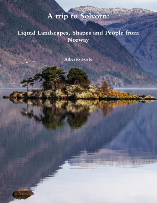 liquid landscape
