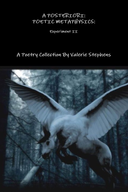 A POSTERIORI: AN EXPERIMENT IN POETIC METAPHYSICS II