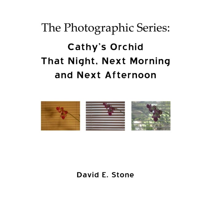 Cathys Orchid - That Night, Next Morning  and Next Afternoon