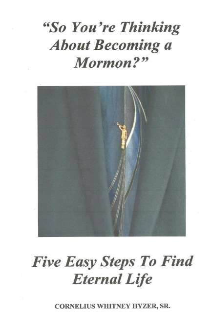 So Youre Thinking About Becoming a Mormon?