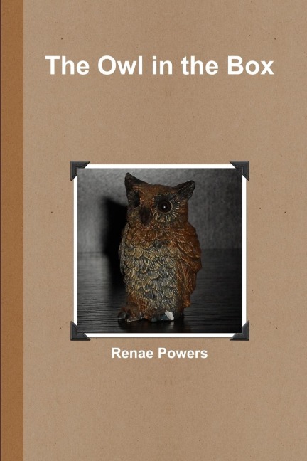 The Owl in the Box