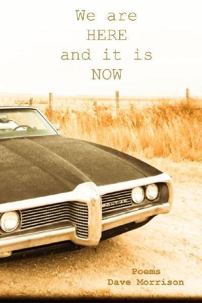 We Are Here and It Is Now: Poems - Dave Morrison
