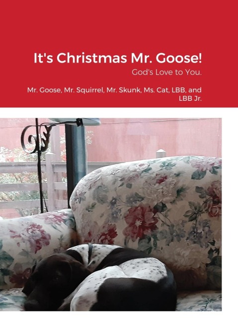 Its Christmas Mr. Goose!: Gods Love to You.