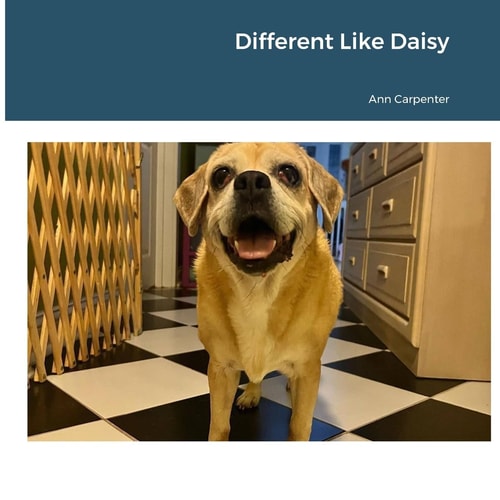 Different Like Daisy Featuring The Misplaced Mutts