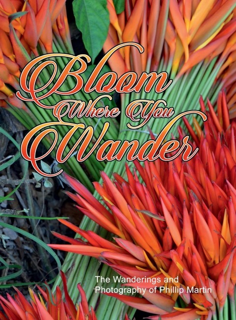 Bloom Where You Wander (matte cover): The Wanderings and Photography of Phillip Martin