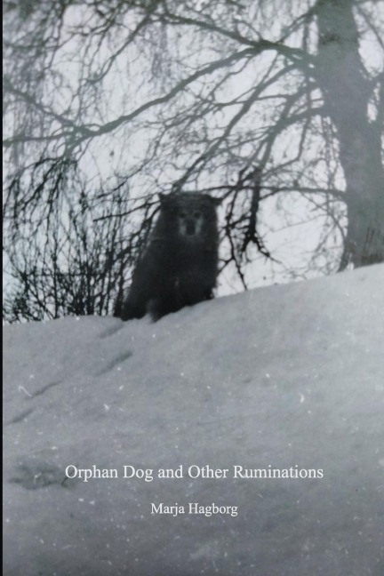 Chiron Review #131 Fall 2023: Orphan Dog and Other Ruminations