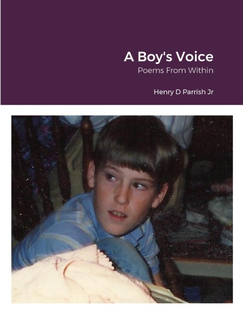 A Boys Voice: Poems From Within