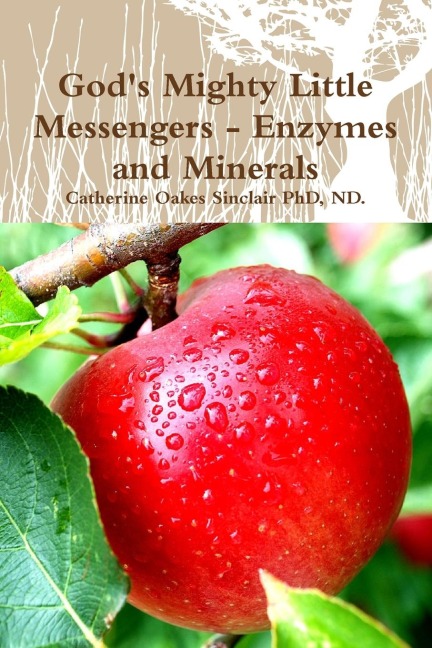 Gods Mighty Little Messengers - Enzymes and Minerals