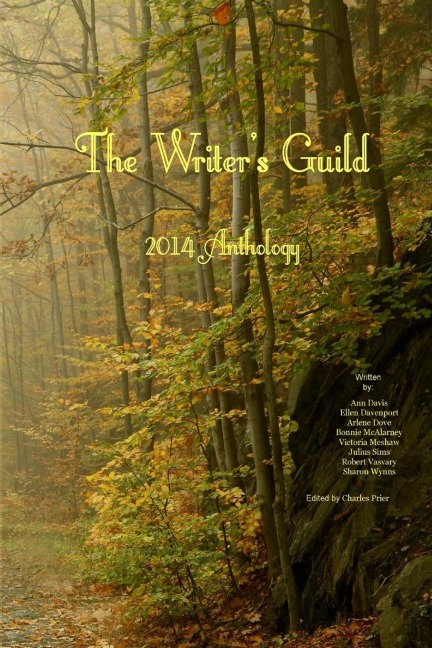 The Writers Guild 2014 Anthology