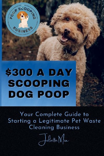 Pooper Scooper Business: How to Make $300 A Day Scooping Poop