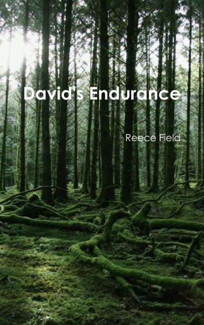 Davids Endurance