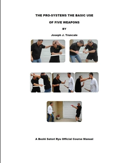 Pro-Systems: The Basic Use of 5 Weapons
