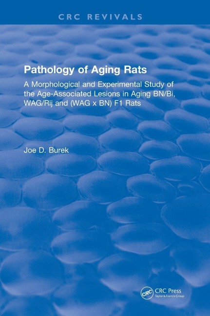 Pathology Of Aging Rats