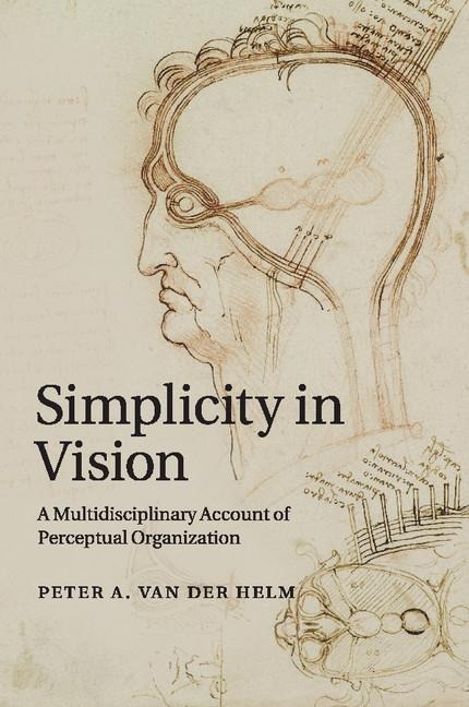Simplicity in Vision