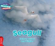 Cambridge Reading Adventures Seagull Red Band