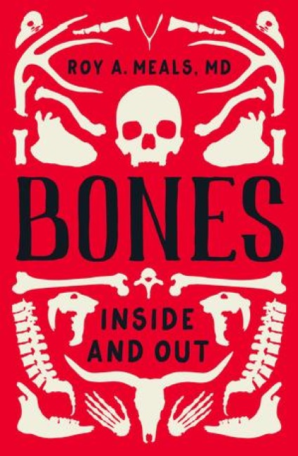 Bones: Inside and Out