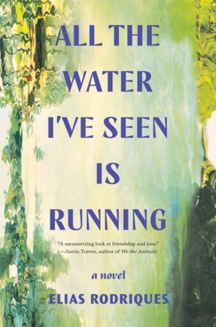 All the Water Ive Seen Is Running: A Novel