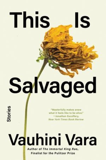 This Is Salvaged: Stories