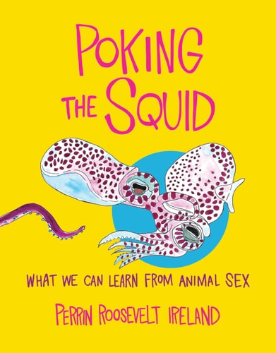 Poking the Squid - What We Can Learn from Animal Sex