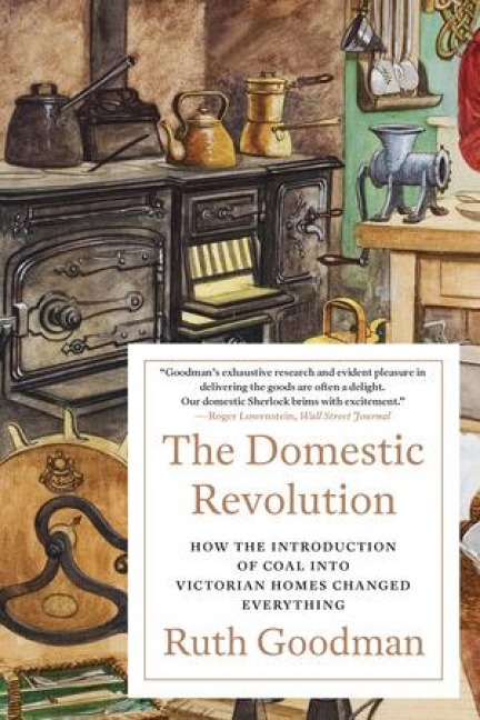 Domestic Revolution: How the Introduction of Coal into Victorian Homes Changed Everything