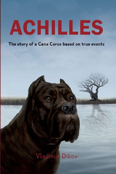 Achilles-A story about friends: A heartwarming family tale of loyalty and friendship based on true events